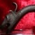 16 Th.Century Cast Iron Dragon