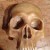 XVIII Century wax skull